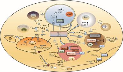 The role of metabolic reprogramming in immune escape of triple-negative breast cancer